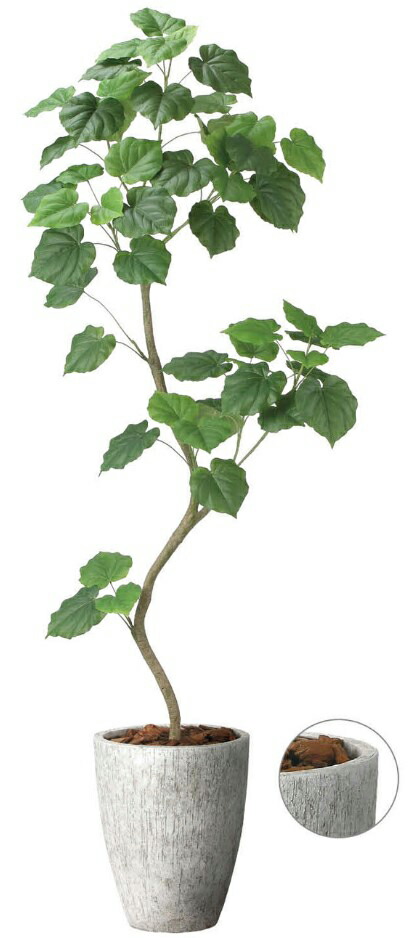 【マラソン中P3倍】【いつもありがとう母の日プレゼント】人工観葉植物 光の楽園/光触媒 ナチュラルウンベラータ1.9 組立式 /2499A740 21 造花 アーティフィシャルフラワー 葉物 造花・人工観葉植物 高さ～200cm フェイクグリーン インテリア 大型
