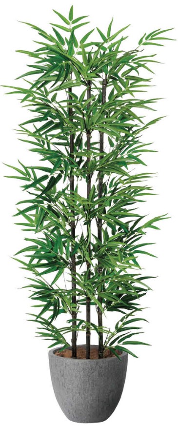 人工観葉植物 光の楽園/光触媒 ナチュラル黒竹1.6 2504R430 約 幅70×奥行65×高さ160cm 造花 アーティフィシャルフラワー 造花葉物 造花・人工観葉植物 高さ～200cm