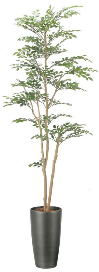 【いつもありがとう母の日プレゼント】人工観葉植物 光の楽園/光触媒 スリムトネリコ1.82509A400約 幅60×奥行60×高さ180cm造花 アーティフィシャルフラワー 葉物 造花・人工観葉植物 高さ～200cm フェイクグリーン インテリア 大型 ディスプレイ 装飾