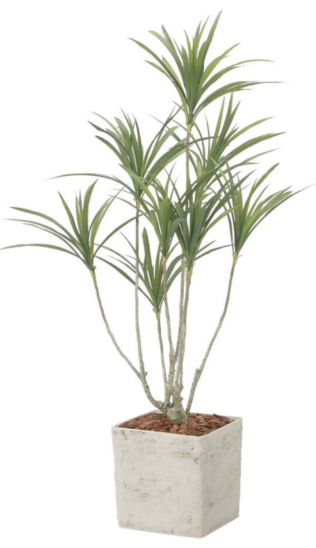 人工観葉植物 光の楽園/光触媒 インテリアドラセナ1.4 ポリ製 2590A580 約 幅80×奥行70×高さ140cm 造花 アーティフィシャルフラワー 葉物 造花・人工観葉植物 高さ～150cm フェイクグリーン インテリア ディスプレイ