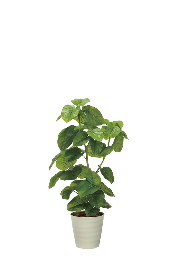 光触媒 光の楽園 フレッシュDXウンベラータ1.3　2327a480 約 幅73×奥行60×高さ130cm 人工植物 造花 フェイクグリーン おしゃれ インテリア 大型 34,320円