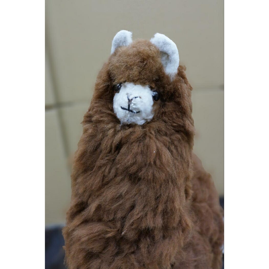 楽天市場 送料無料 アルパカ ぬいぐるみ 中サイズ Mサイズ人形 置物 インテリア 雑貨 原毛 アルパカ原毛 ペルー ペルー製 ギフト プレゼント 50cm Alpaca ブラウン Sj Online Store