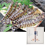 フジオカ 天草産活〆冷凍車海老 250g