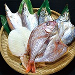 えひめシーフードサービス 朝獲れピチピチ鮮魚の一夜干し