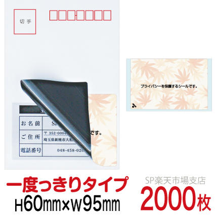 新着音沙汰