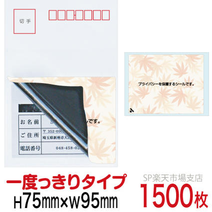 新着音沙汰