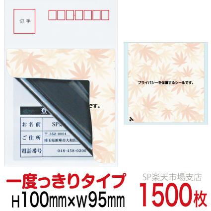 新着音沙汰