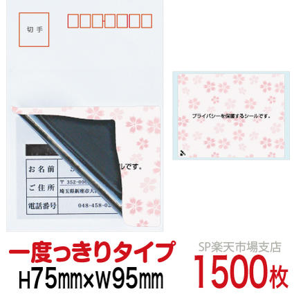 新着音沙汰