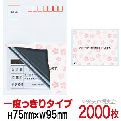 新着音沙汰