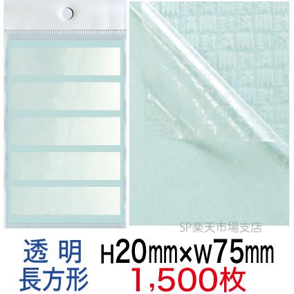 新着音沙汰