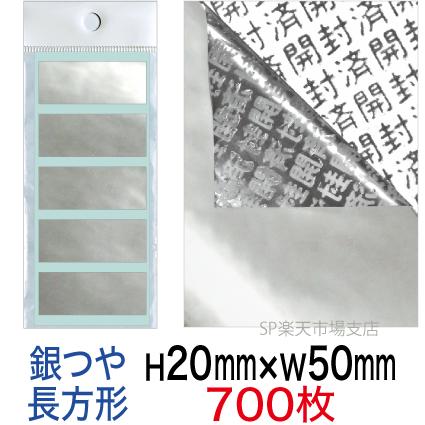 セキュリティシール【改ざん防止シール】700枚 開封済文字 銀つやタイプ 縦20mm / 横50mm