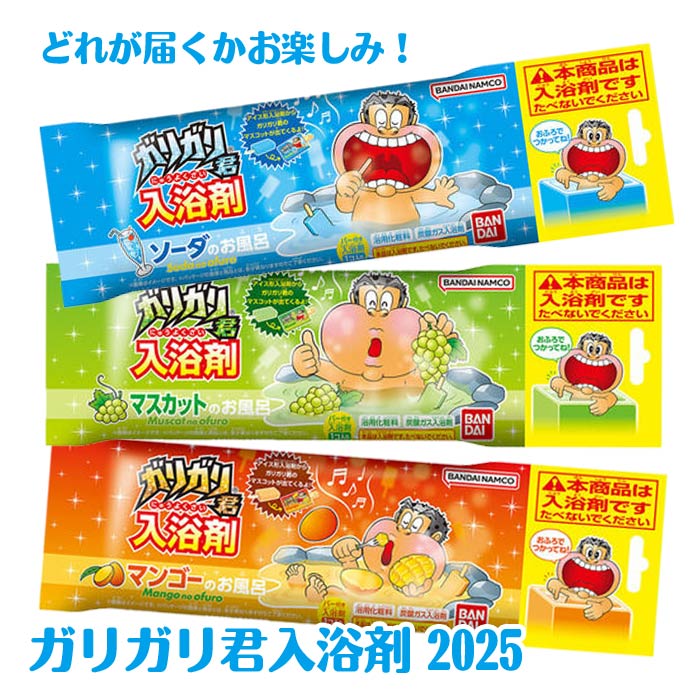 大幅値下げ‼️ガリガリ君ストラップ４　シークレット含む全10種コンプリートセット 大幅値下げ‼️ガリガリ君ストラップ4 シークレット含む全10種