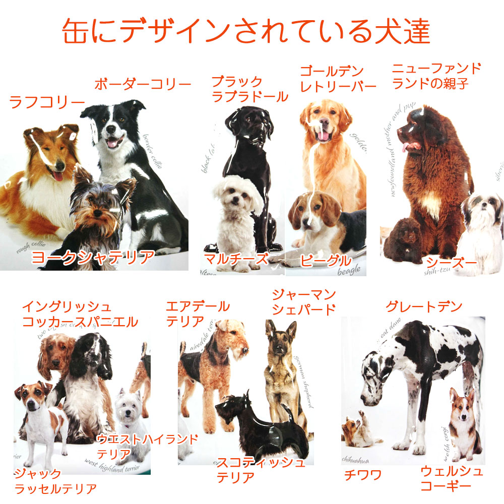 ガーディナーズ オブ スコットランド バニラファッジ ドッグ 犬 丸缶 0g 白無地化粧箱付き スーパーセール