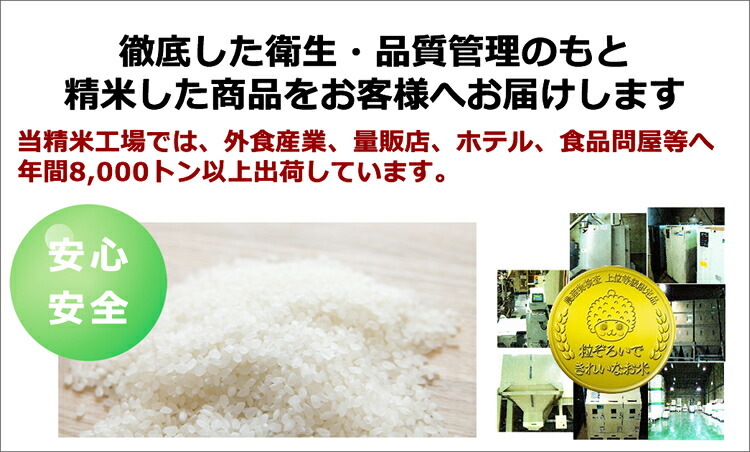 さくら様専用 準自然米 福岡県産「元気つくし」令和４年産 玄米20kg の