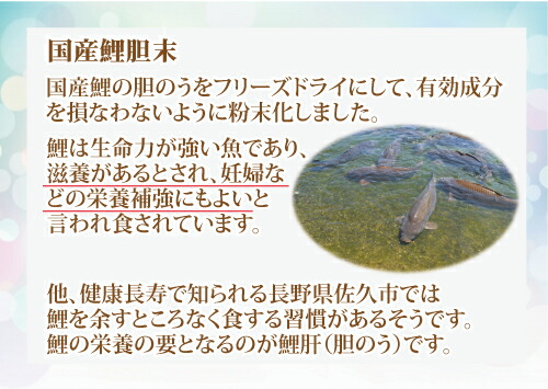 ビッグ割引の１日の摂取目安は1 3粒 1粒にスッポン原末250ｍｇ 送料無料ダイエット 健康 ｓｐ 50ｍｇ スッポン コエンザイムq10 コエンザイムｑ10 鯉胆 ３箱セット スッポン スッポン 生姜 ジンジャー 60粒入 3 亜鉛 セレン他配合 ハートq１０ 血胆 スッポン 肝 胆 血