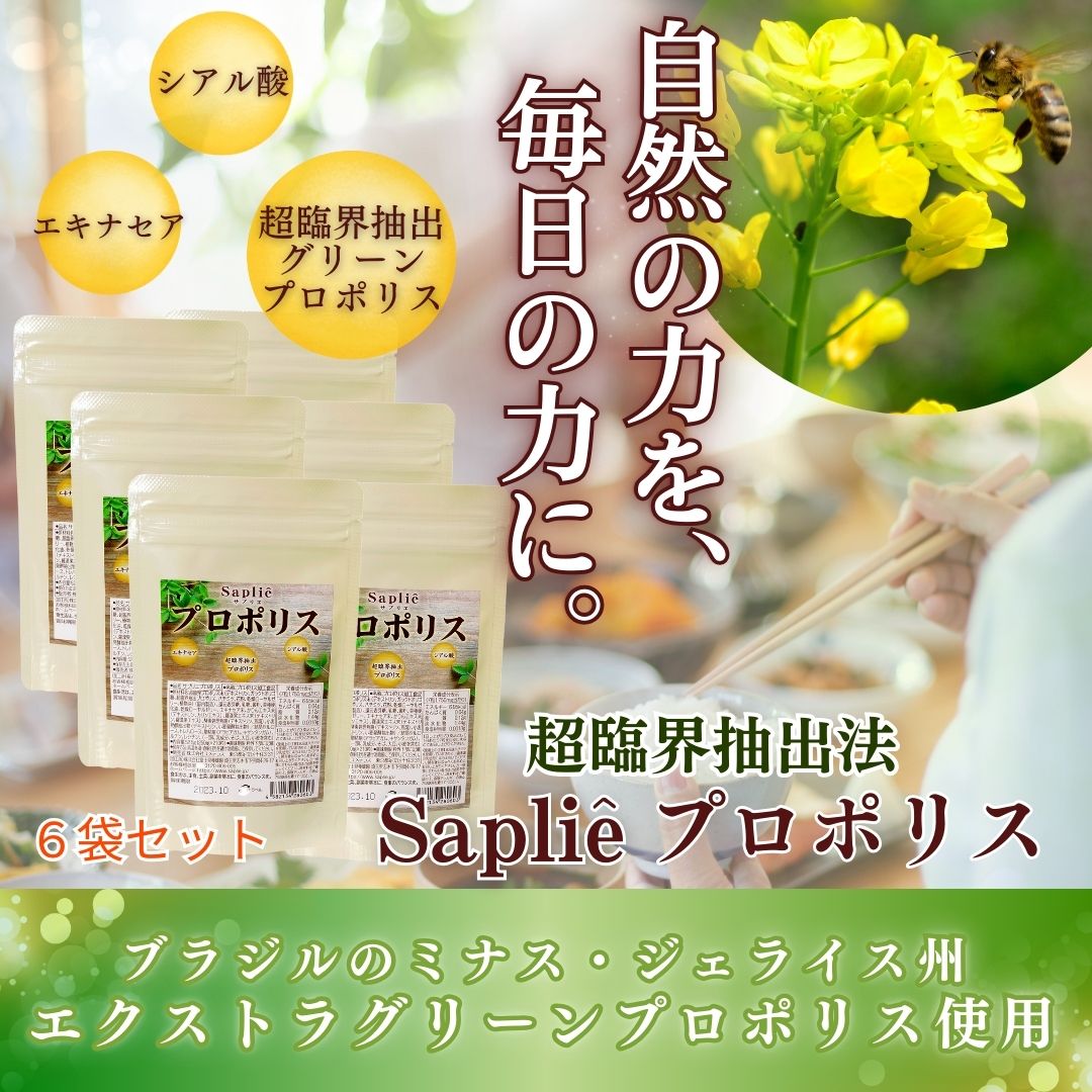 29日09:59まで18,000円OFFクーポン配布 「サプリエ プロポリス 210粒×6袋セット」 超臨界 ブラジル産 グリーンプロポリス サプリ シアル酸 エキナセア かりん ローヤルゼリー 内側ケア 家族 サプリ 安心 子供サプリ 季節の変わり目 環境変化 エイジングケアサプリ 健康画像