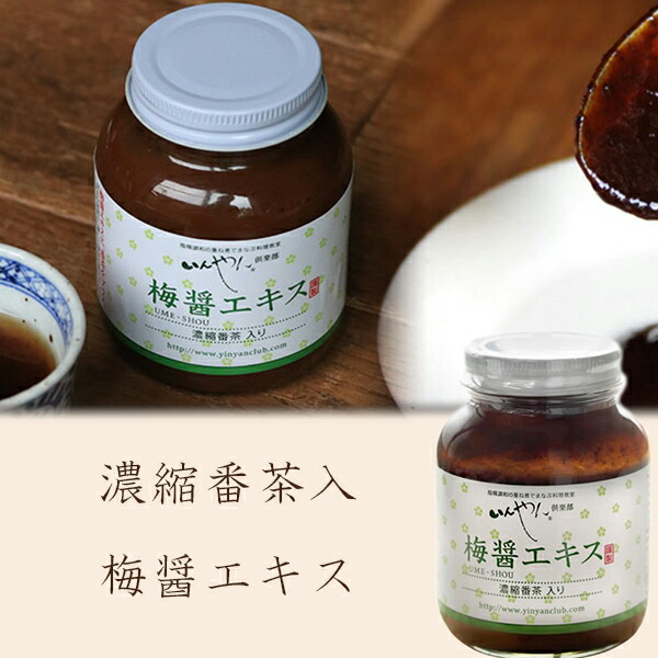 「梅醤エキス 250ｇ×4個セット」 いんやん倶楽部 濃縮番茶入 梅醤 梅肉エキス 番茶入り 国産番茶