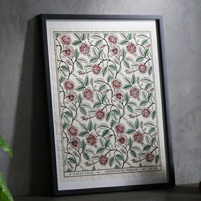 楽天市場】ドミノペーパー 1B 4色 Antoinette Poisson