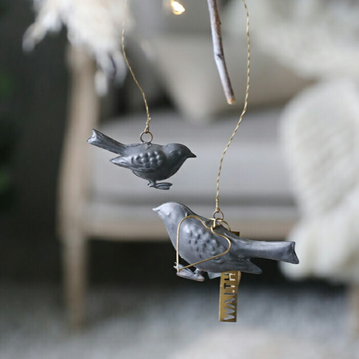 楽天市場】ピンクッション フラワー QUAINT&QUALITY LYSPLATEADO No.3