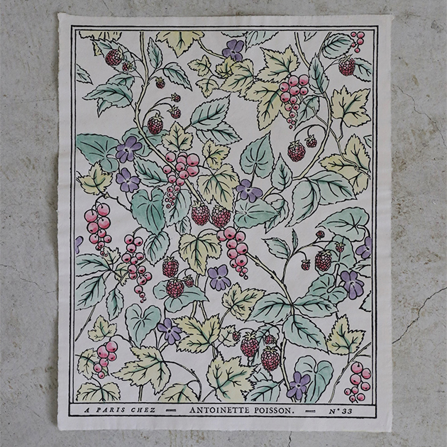 楽天市場】ドミノペーパー 59C Antoinette Poisson // アントワネット