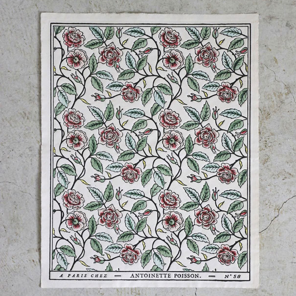 楽天市場】ドミノペーパー 57A Antoinette Poisson // アントワネット