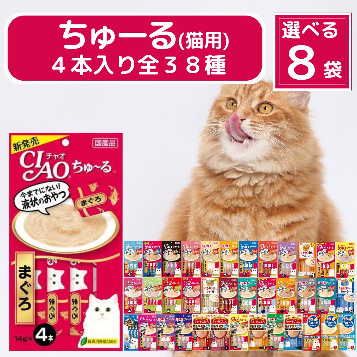 楽天市場】猫 缶 キャットフード お試し 全種 (銀のスプーン 缶, CIAO