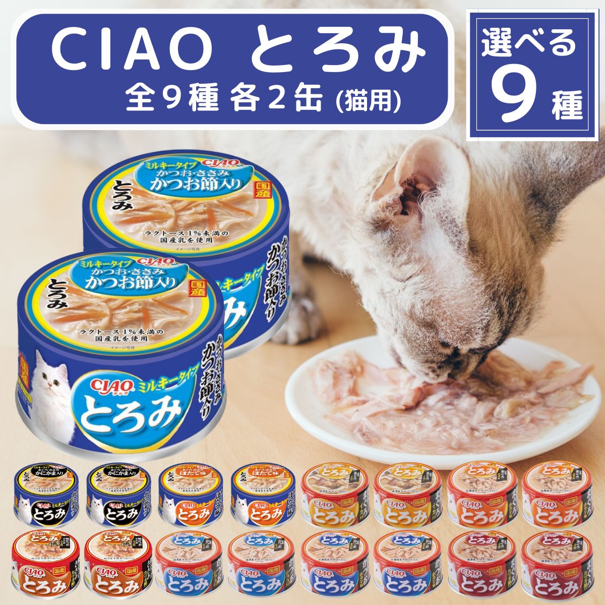 楽天市場】猫 缶 キャットフード お試し 全種 (銀のスプーン 缶