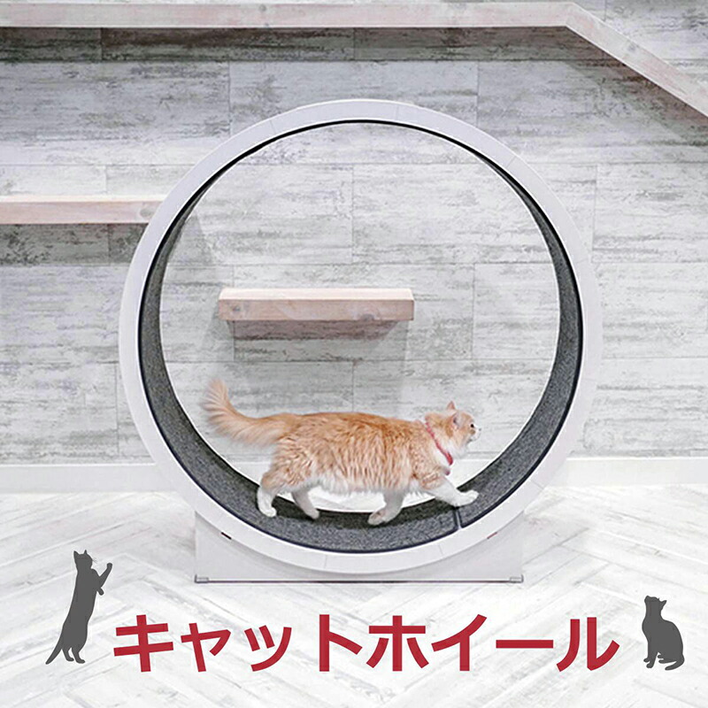 キャットホイール キャットウォーク キャットタワー Cat Wheel 猫 回転車 猫 回し車 猫ホイール 猫用ルームランナー 猫用ランニングマシーン 猫ジム 室内飼い 猫 健康管理 猫 運動不足解消 猫 ストレス解消 猫 ダイエット 猫 爪とぎ 猫のおもちゃ 組み立て製品 分解可能