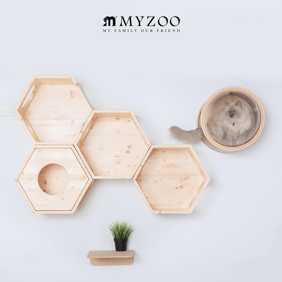 My Zoo 猫 キャットタワー キャットウォーク キャットステップ Myzoo マイズー 六角ハウス ビジーキャット 単品販売 Sale Pt