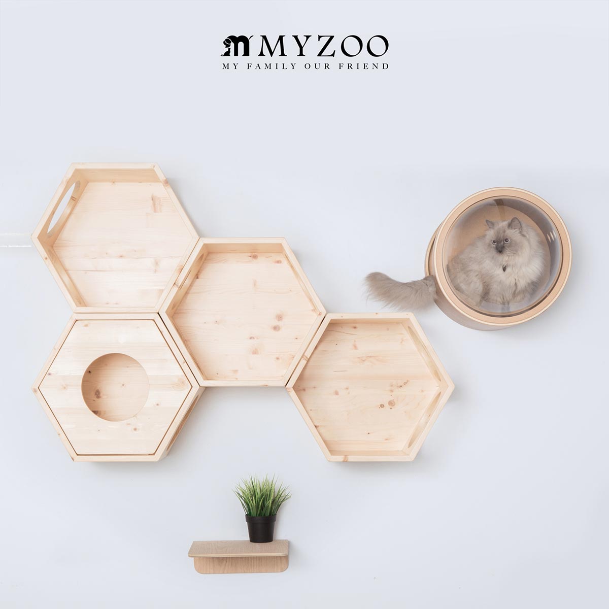 My Zoo 猫 キャットタワー キャットウォーク キャットステップ Myzoo マイズー 六角ハウス ビジーキャット 単品販売 Sale Pt My Zoo 猫 キャットタワー キャットウォーク キャットステップ Myzoo マイズー 六角ハウス ビジーキャット 単品販売 Sale Pt