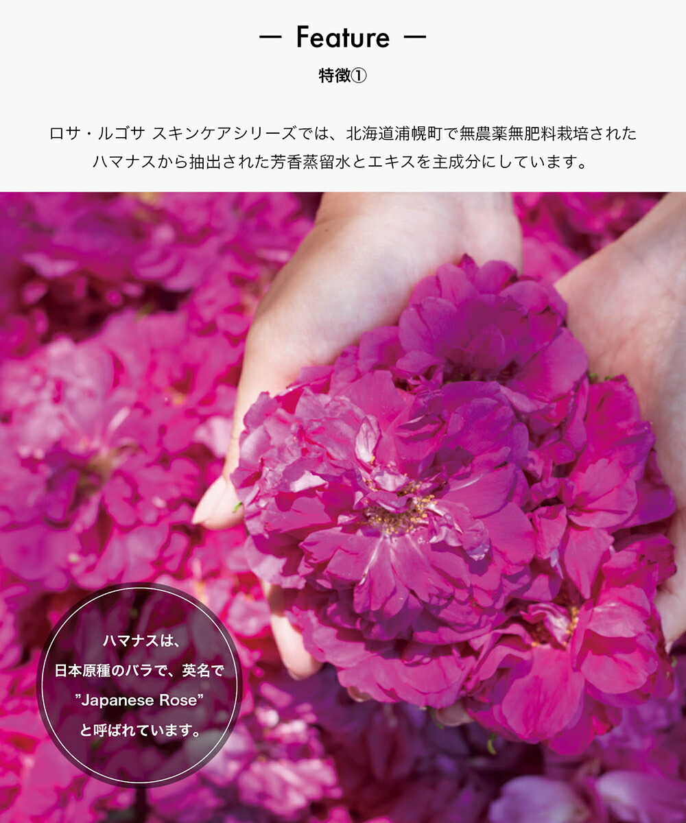 楽天市場 オーガニックコスメ ロサ ルゴサ ローション 化粧水 Sl Iz Sarasa Design Store