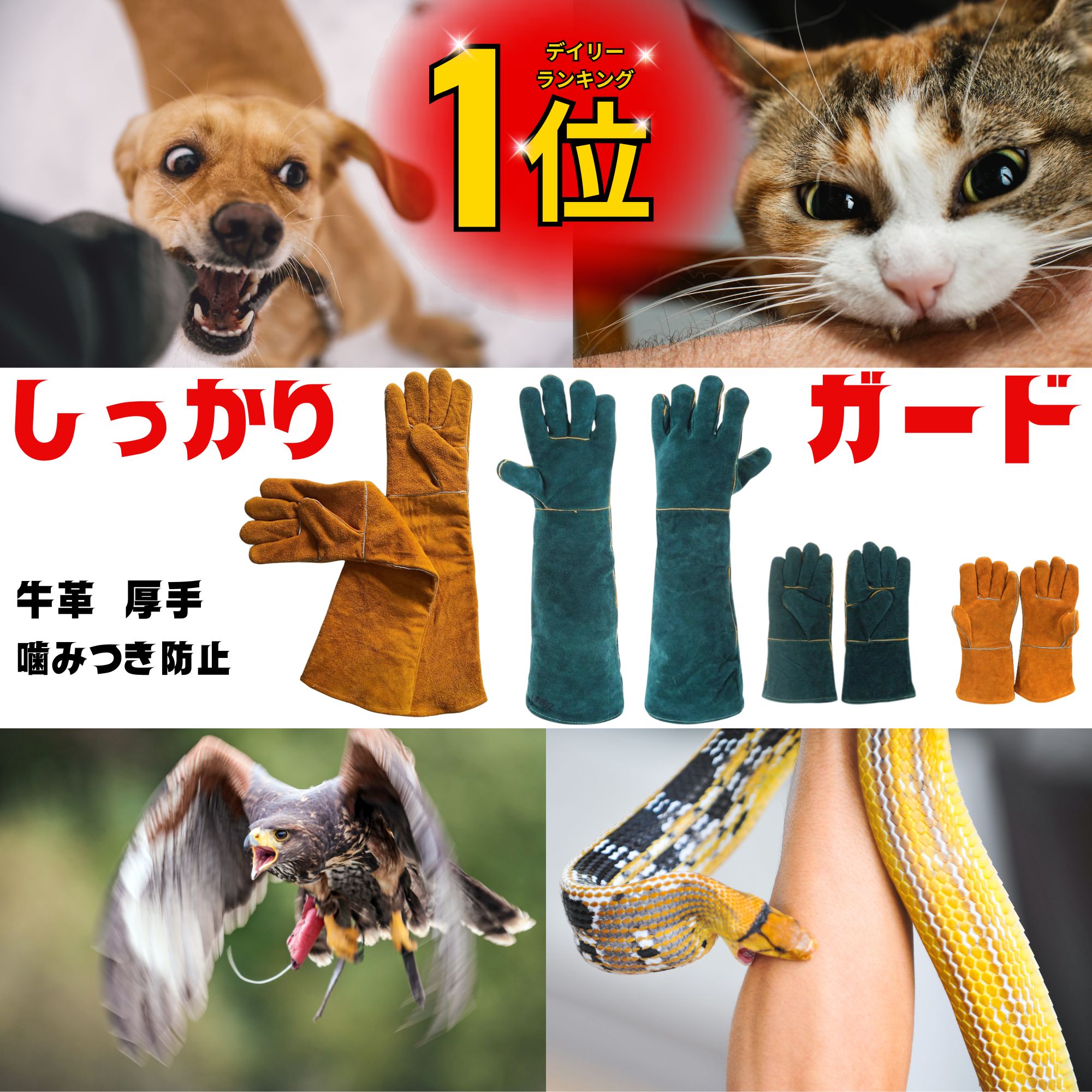 楽天市場】【楽天1位・100冠達成】ペットグローブ 犬 噛みつき防止