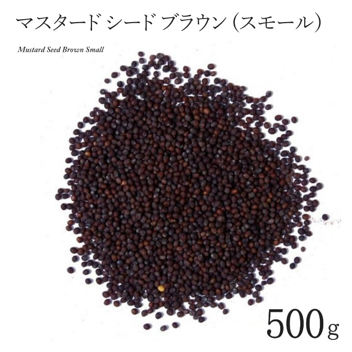 かわいい～！」 マスタード シード ブラウン スモール 500g MUSTARD SEED BROWN small インド料理 スパイス 業務用  香辛料 ホール 粒 qdtek.vn