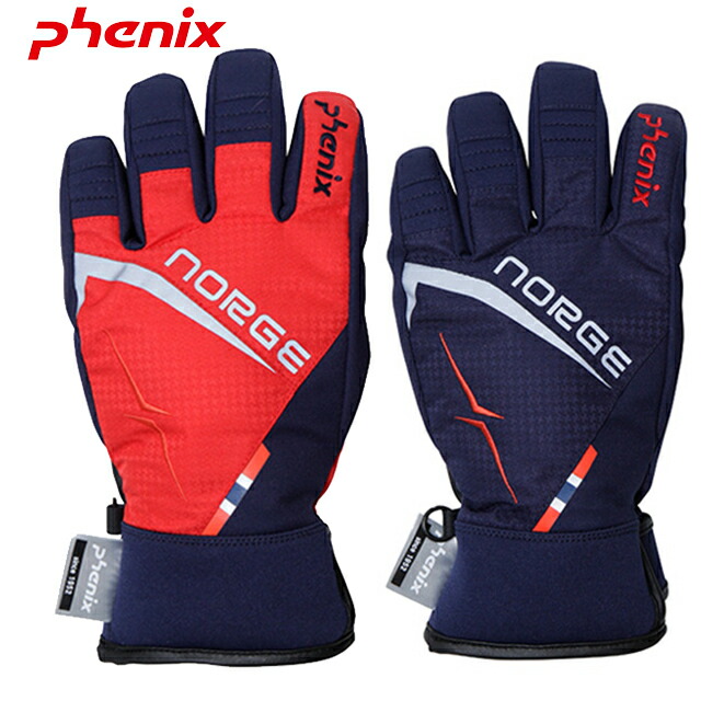 楽天市場】ノルディカ スキーグローブ Glove Nordica Textile Black