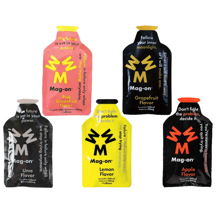 楽天市場】サロモン ソフト フラスク 500ml スピード SOFT FLASK