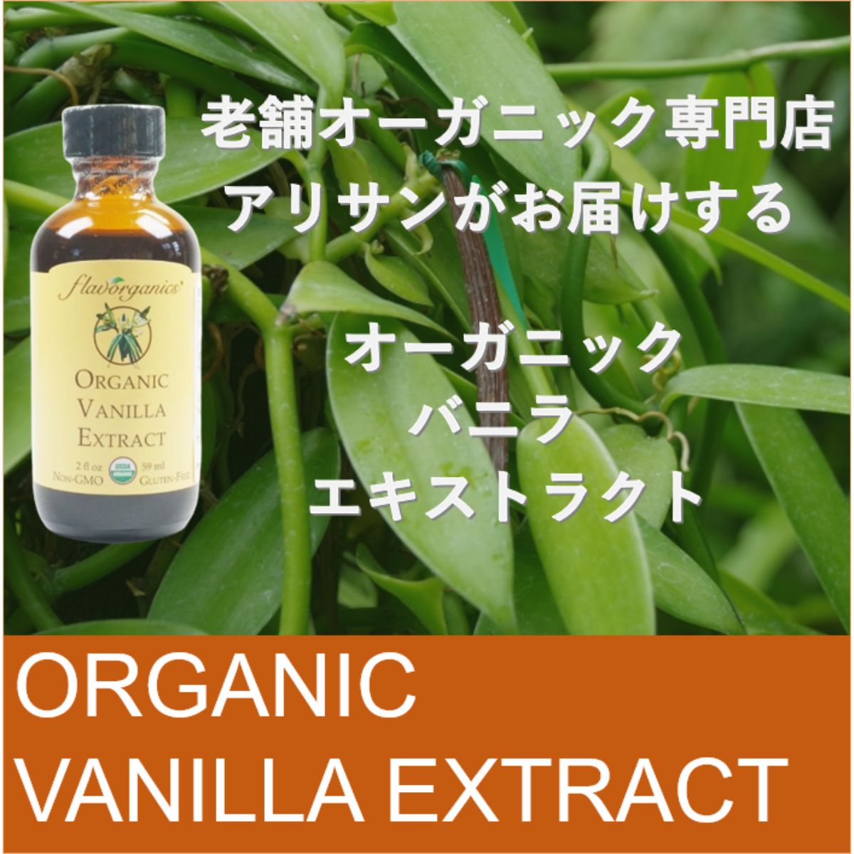 \楽天1位6冠達成/アリサン バニラエクストラクト 59ml 1個 オーガニック バニラエッセンス アリサン バニラエクストラクト バニラエキストラクト バニラエクストラクト 科学香料無添加 バニラエクストラクト オーガニック バニラエクストラクト 送料無料 Vanilla Extract