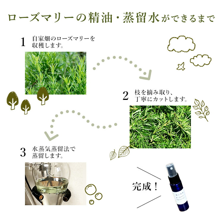 楽天市場 ローズマリー マルセイユ石鹸 手作り 篠山石鹸 コールドプロセス石けん 原材料から自家製 90g 1個 手作り石けん いい香り 洗顔 ジャムウ ささやまビーファーム 楽天市場店