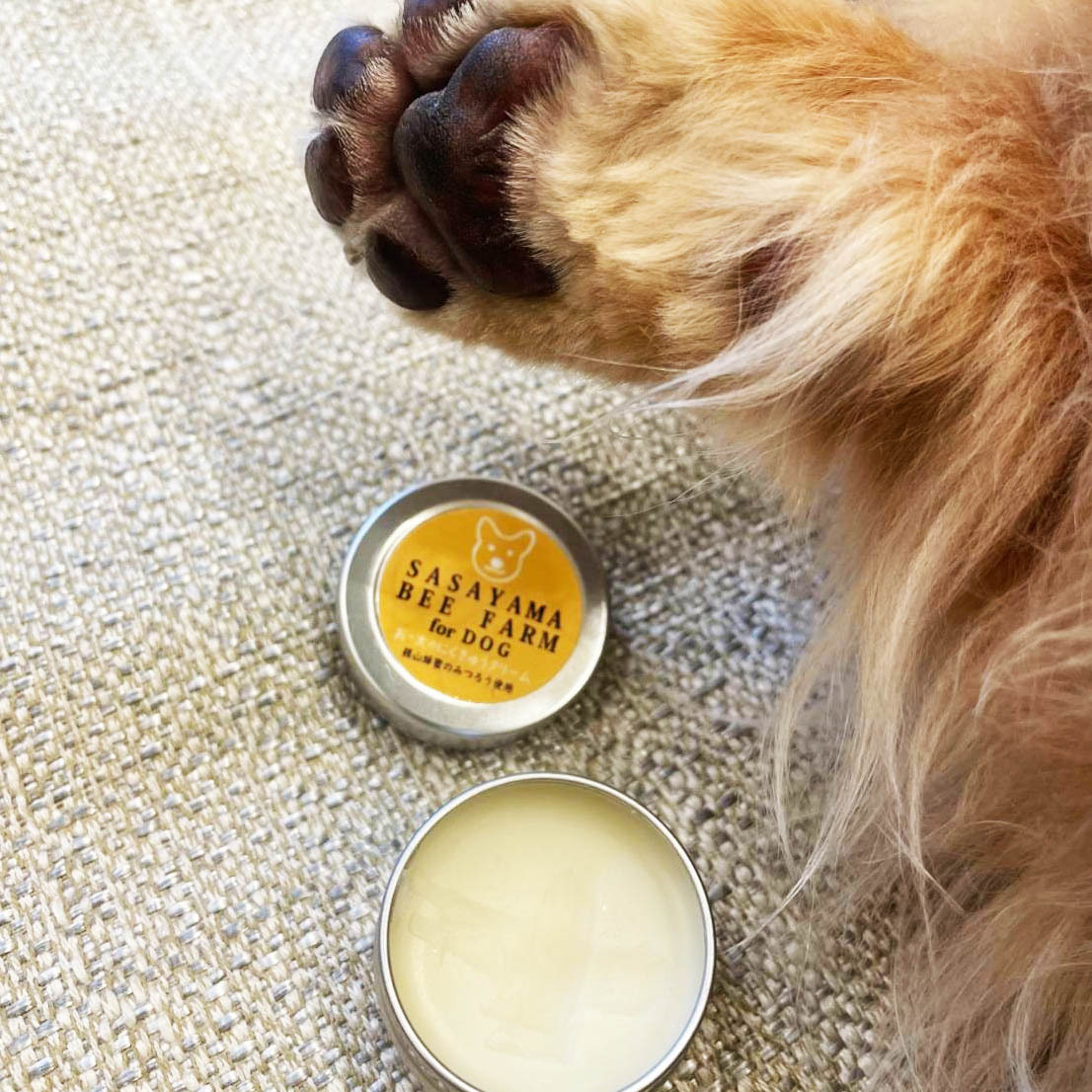 市場 おー太のにくきゅうクリーム 肉球 ミツロウクリーム 犬用 無添加