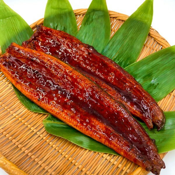 国産 特大うなぎ蒲焼 鹿児島 うなぎ 鰻 ウナギ うなぎ蒲焼 鰻の蒲焼 大きい 国産鰻 国産うなぎ 特大サイズ 鹿児島県産 国内加工 長焼250 2尾 5980円 タレ 山椒付き ギフト プレゼント 贈り物 うな重 うな丼 鰻丼 蒲焼き 送料無料 本州のみ Psicologosancora Es