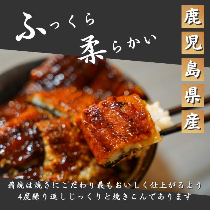 期間限定 本州のみ 特大うなぎ蒲焼 うなぎ蒲焼100ｇ×10尾 鰻 うなぎ ウナギ 鰻重 うな重 肉厚 柔らかいギフト プレゼント 丑の日 土用の丑の日  満点 スタミナ抜群 滋養 fucoa.cl