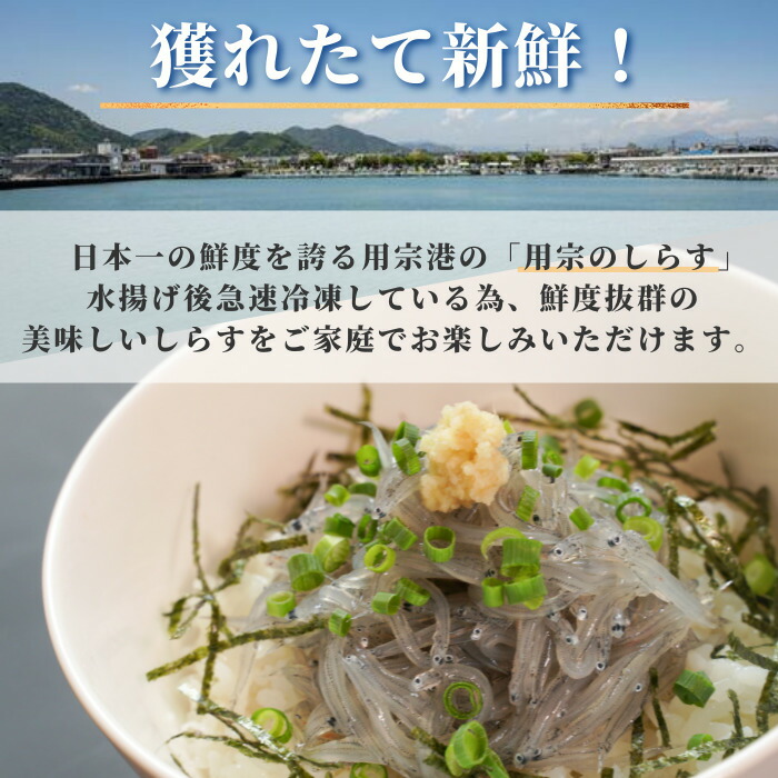 市場 送料無料 駿河湾産 生シラス 100ｇ×6 新鮮で鮮度抜群の状態で急速冷凍かけてある商品です 600g になります