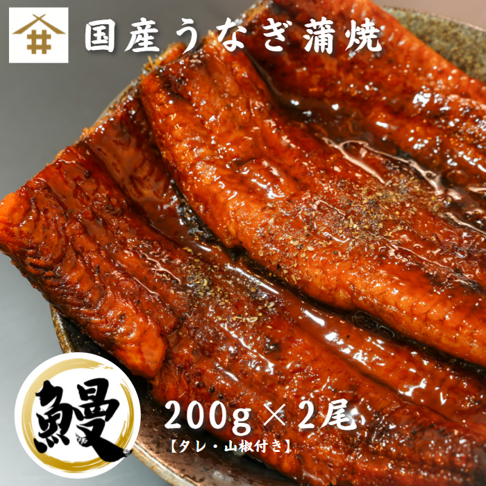 特大うなぎ蒲焼200ｇ×2尾 うなぎ蒲焼き 国産うなぎ 2尾 うなぎの蒲焼 お中元 鹿児島 うなぎ 丑の日 蒲焼き 鰻 ウナギ うなぎ蒲焼 400g 国産  鰻の蒲焼 大きい 国産鰻 鹿児島県産 ギフト 御中元 贈り物 送料無料 本州のみ 【オープニング大セール】