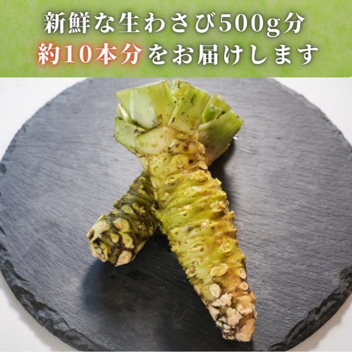 伊豆産 本生わさび 1kg 山葵 本わさび 総合福袋 7700円 quantrion.com