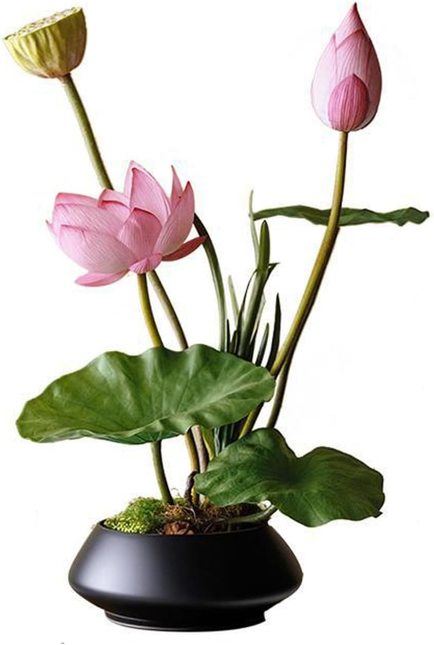造花 蓮花 インテリア 和風 陶磁製花器 フラワーアレンジメント リビング 茶室 テーブル レストラン 玄関 F 置物 05セット 自然な緑色合い 現代的な装飾 生気に満ち フェイクグリーン 人工観葉｜サステナライフ