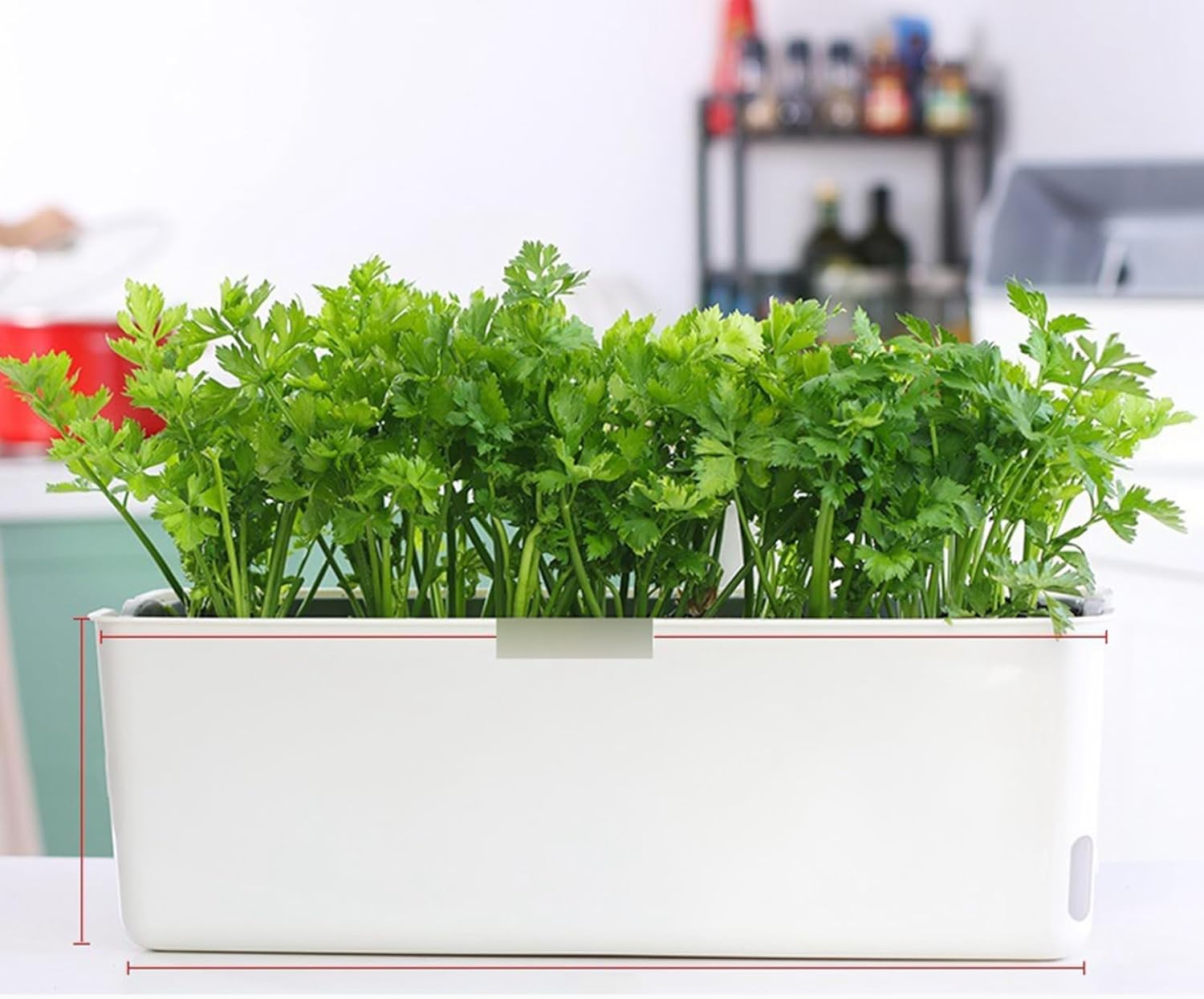 花野菜プランターボックス 植木鉢 プランターボックス プラスチックボックス 園芸ラック 多肉植物スタンド 窓辺プランター ボックスプランター 窓辺プランタ 排水穴付き 長方形 野菜植栽コンテナ ガーデ