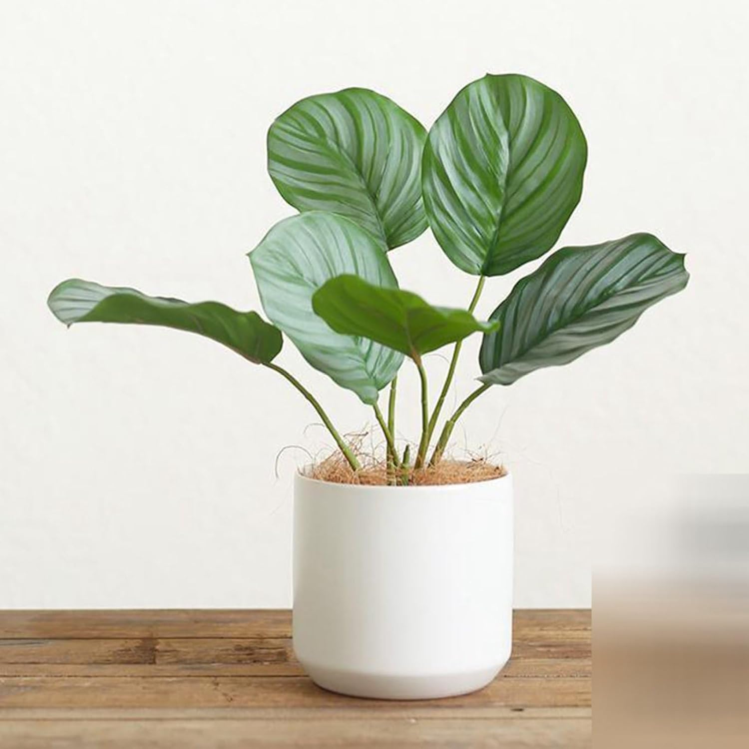フェイクグリーン モンステラの葉 ポトス インテリアグリーン 熱帯観葉 リアル 人工観葉植物 本物そっくり 人工植物装飾 お世話不要 枯れないグリーン お祝い 植物装飾 花園 デコレーション｜サステナライフ