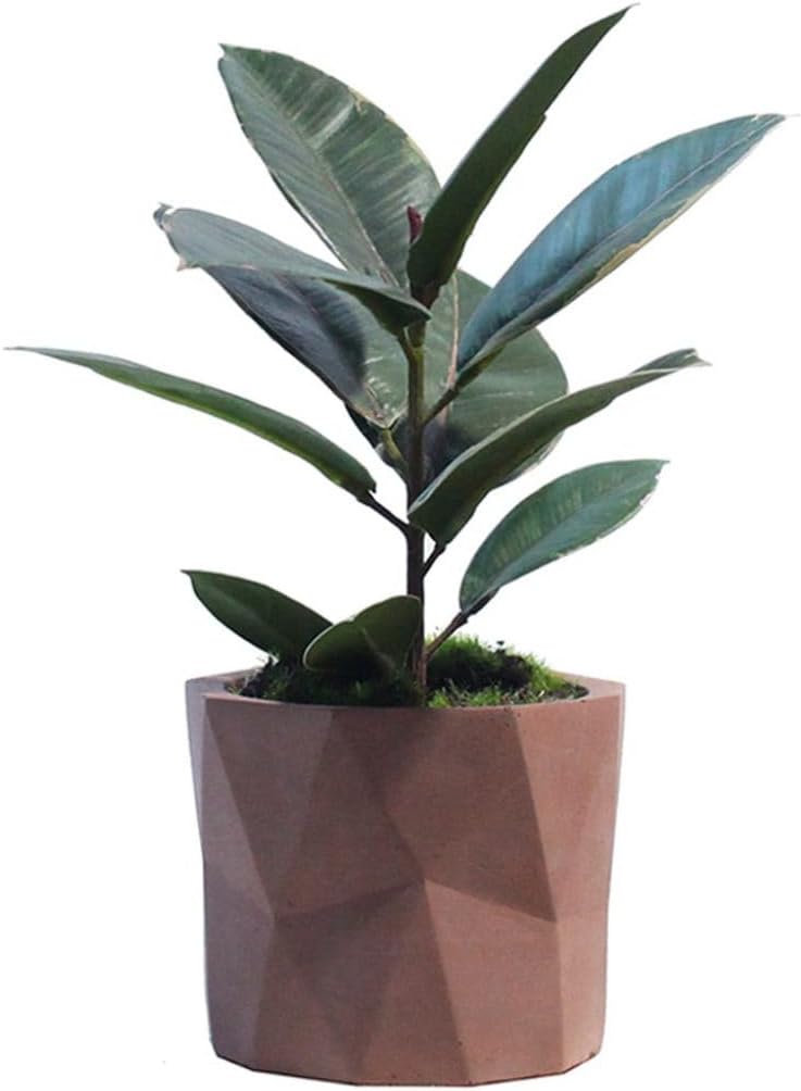 人工観葉植物 リアル モンステラの葉 熱帯観葉 本物そっくり インテリアグリーン フェイクグリーン 簡単世話いらず 人工植物装飾 観葉植物 インテリア ベランダ 鉢植え 枯れないグリーン