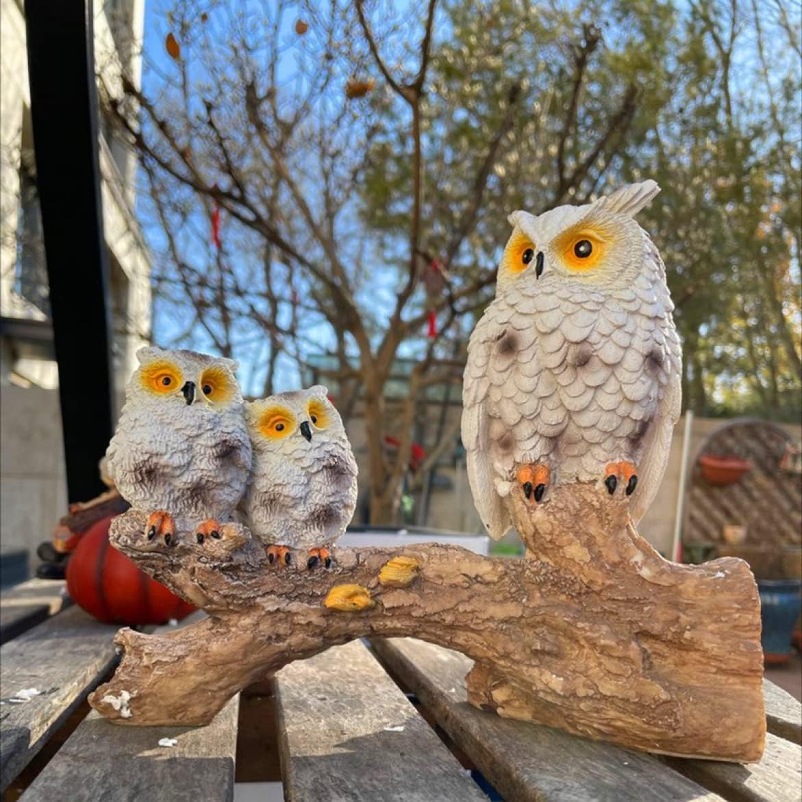 楽天市場】【ポイント5倍】【クーポン】ふくろう置物フクロウ2羽