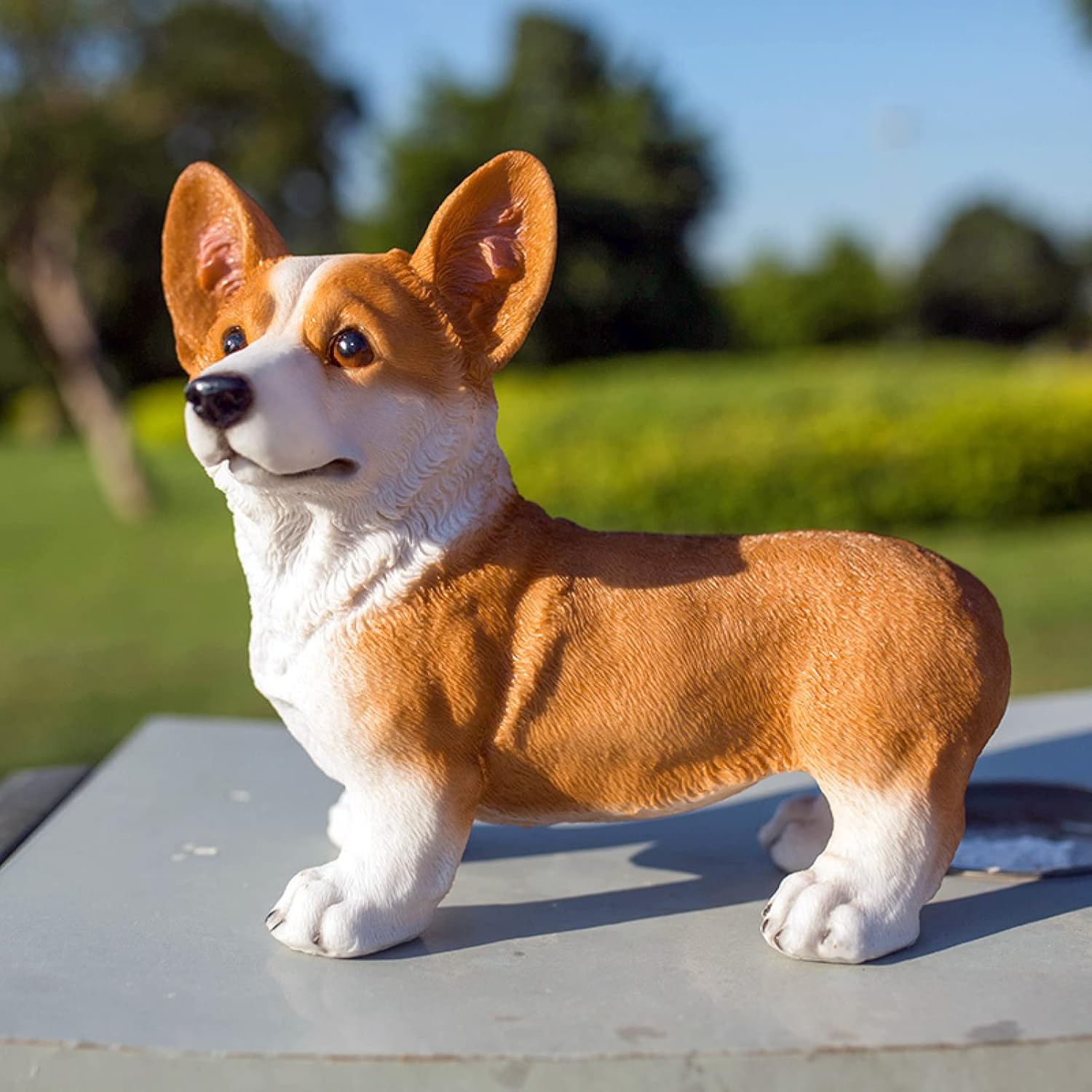 楽天市場】おすわりコーギー犬 Corgi Dog -Sitting 強化