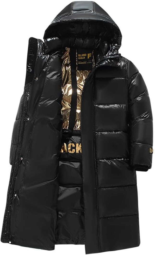 ダウンジャケット ダウンコート メンズ コート 春秋冬服 中綿 マウンテンパーカー アウター 防寒着 ハイネック 防風防寒 保温 暖か 軽量 カジュアル シンプル フート付き 柔らかい 通勤 通学 登
